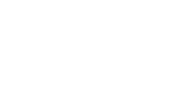 domenico paternoster salons